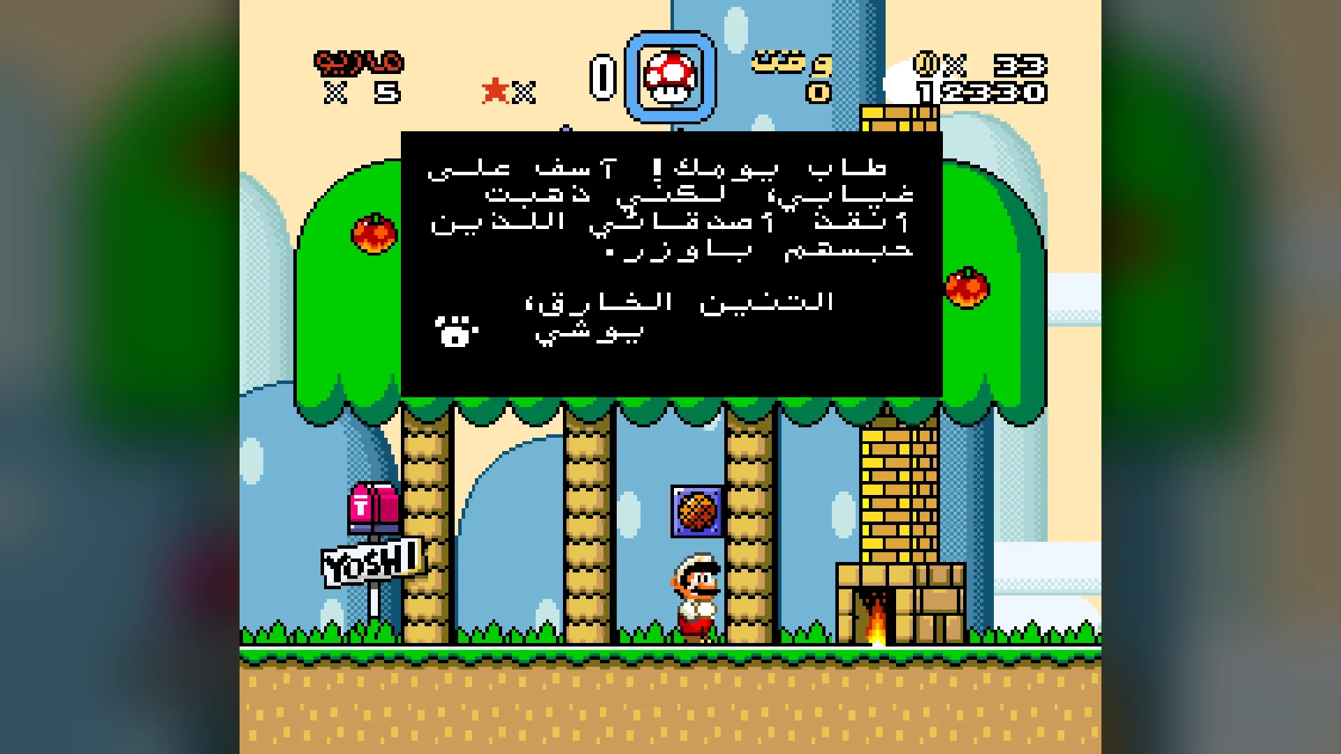 Super Mario World